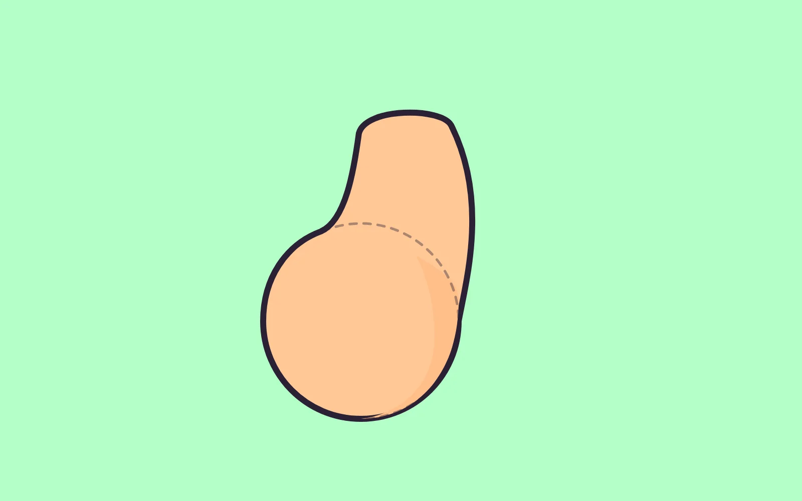 Smooth bean. Seven anchors, one arced back, a belly circle at ~60% of the height.